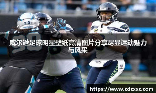 威尔逊足球明星壁纸高清图片分享尽显运动魅力与风采